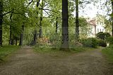 tannenfeld-sommer 2012-041